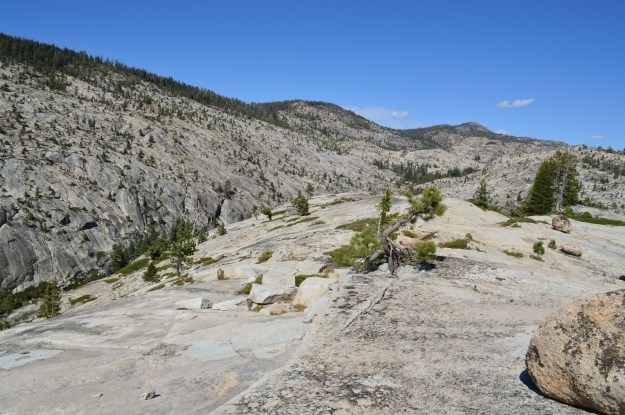 This is the view looking east up the canyon