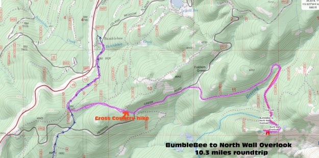 bumblebeetonorthwalloverloo